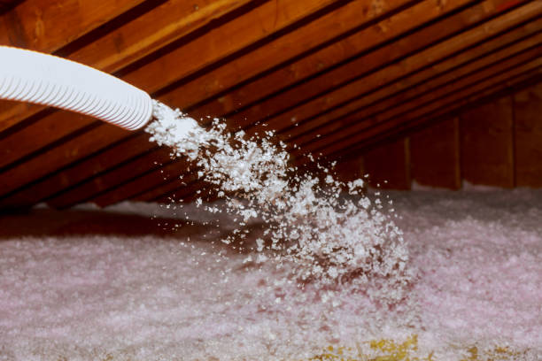 Best Insulation Installation Cost  in Cole Camp, MO