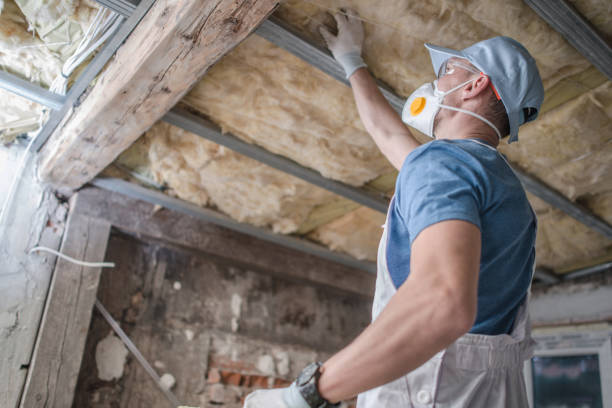 Best Wall Insulation Contractor  in Cole Camp, MO