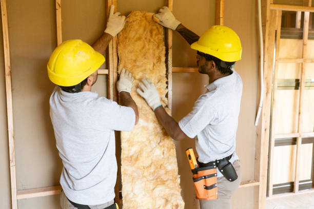 Best Insulation Contractors for Homes  in Cole Camp, MO