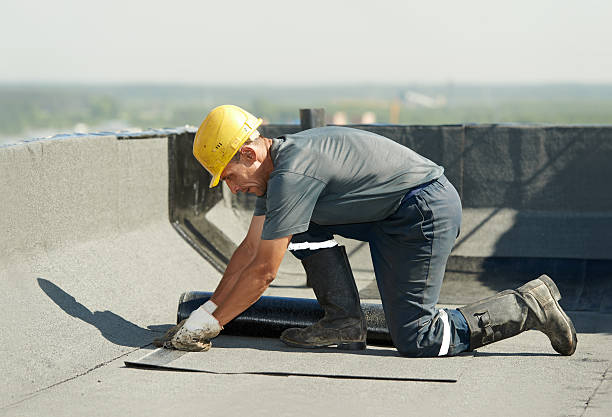 Best Local Insulation Services  in Cole Camp, MO