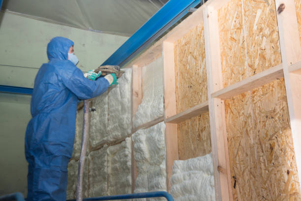 Best Commercial Insulation Contractor  in Cole Camp, MO