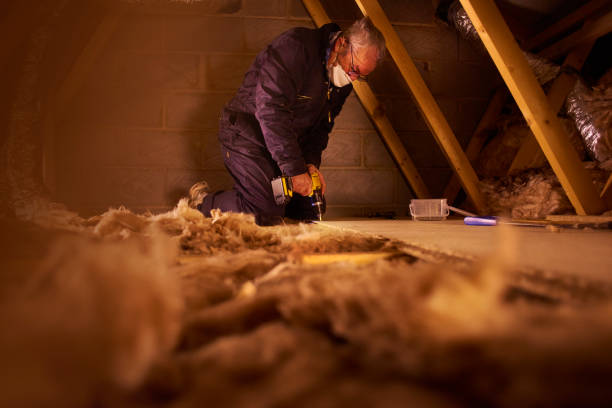 Best Insulation Contractor Near Me  in Cole Camp, MO