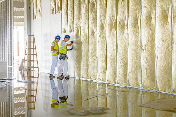 Best Insulation Inspection Services  in Cole Camp, MO